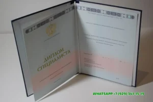 Купить диплом Томского филиала РГСУ — Российского государственного социального университета в Дмитрове